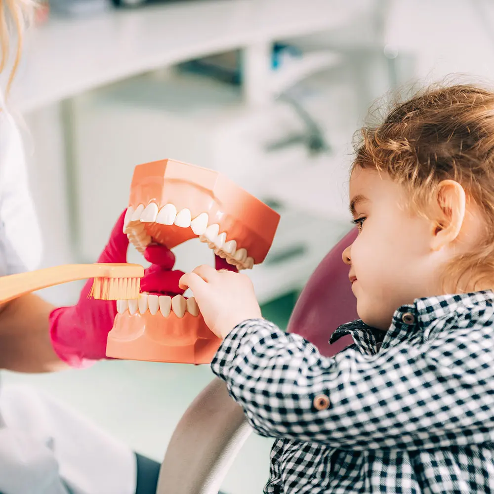 Kinderzahnarzt Ebersberg - Mädchen erster Zahnarztbesuch - Zahnmodell Zähne putzen