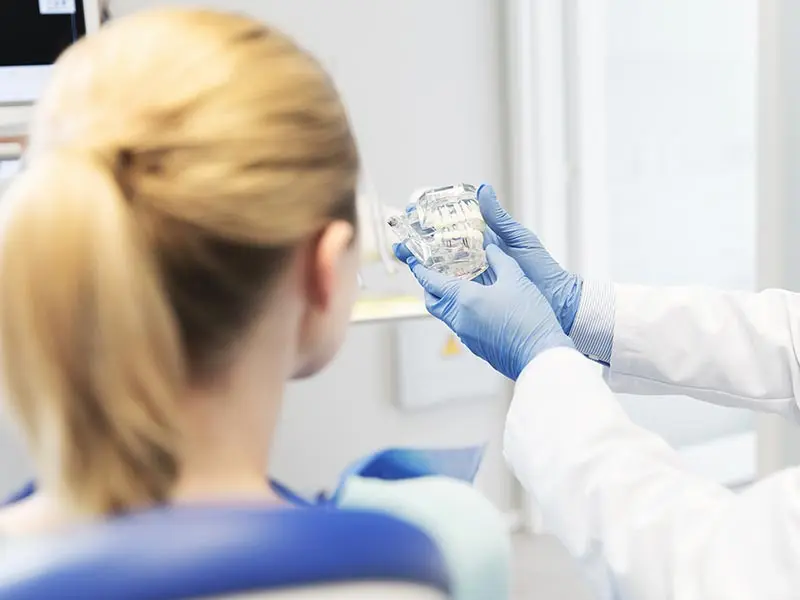 Zahnarzt Feldkirchen-Westerham Zahnmedizin Zahnmodell